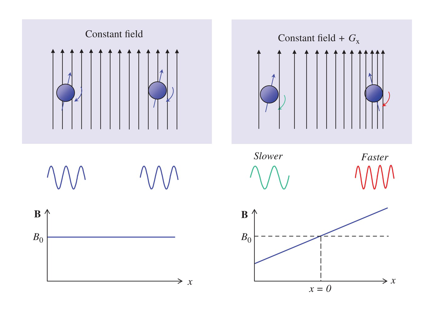 What Are Magnetic Field Gradients? What Are Magnetic Field Gradients?